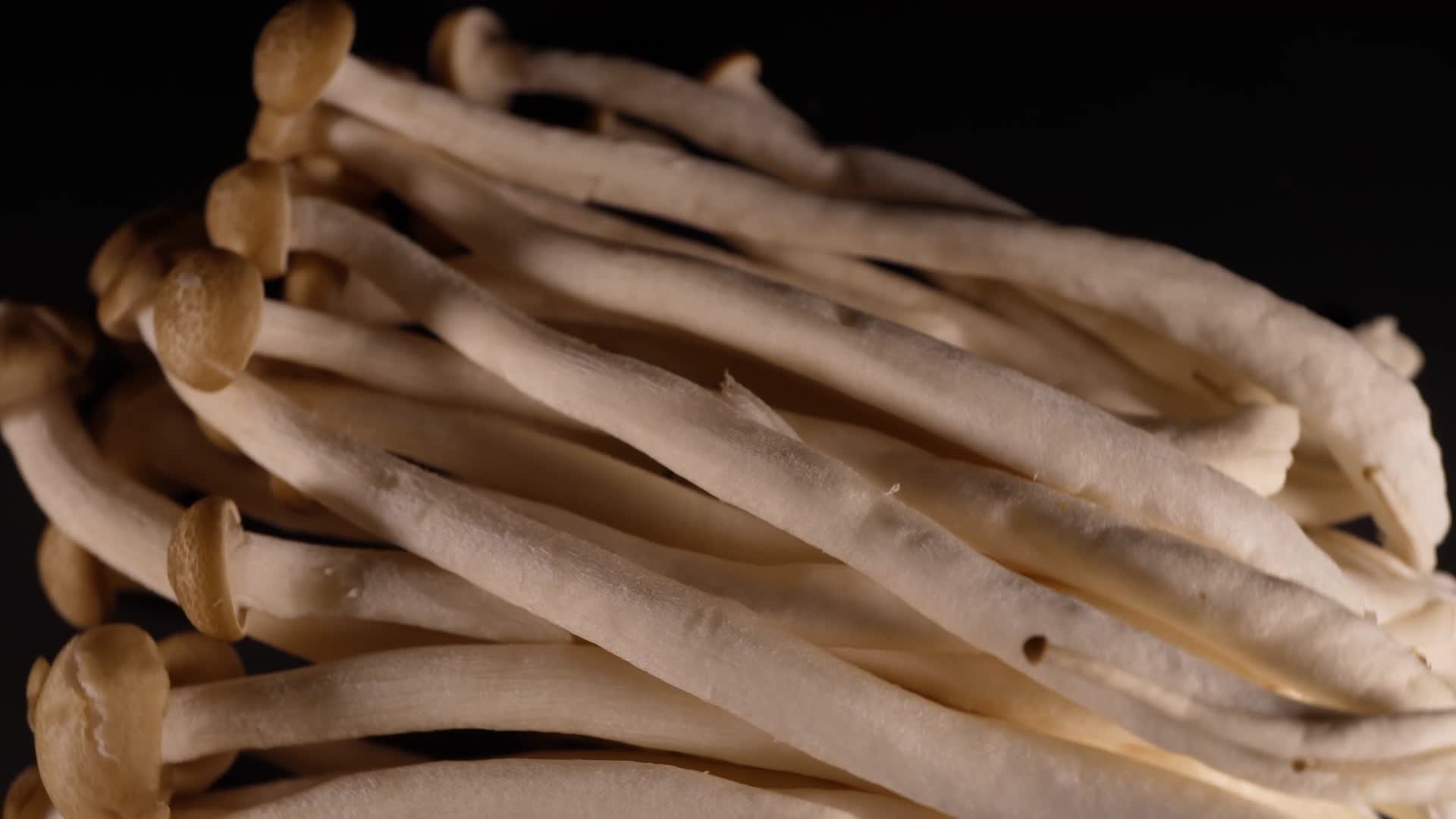 海鲜菇白玉菇视频的预览图