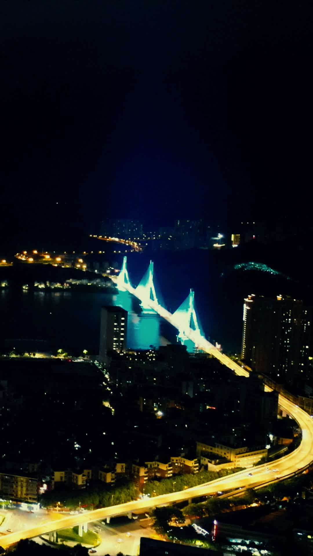 湖北宜昌城市夜景竖屏航拍视频的预览图