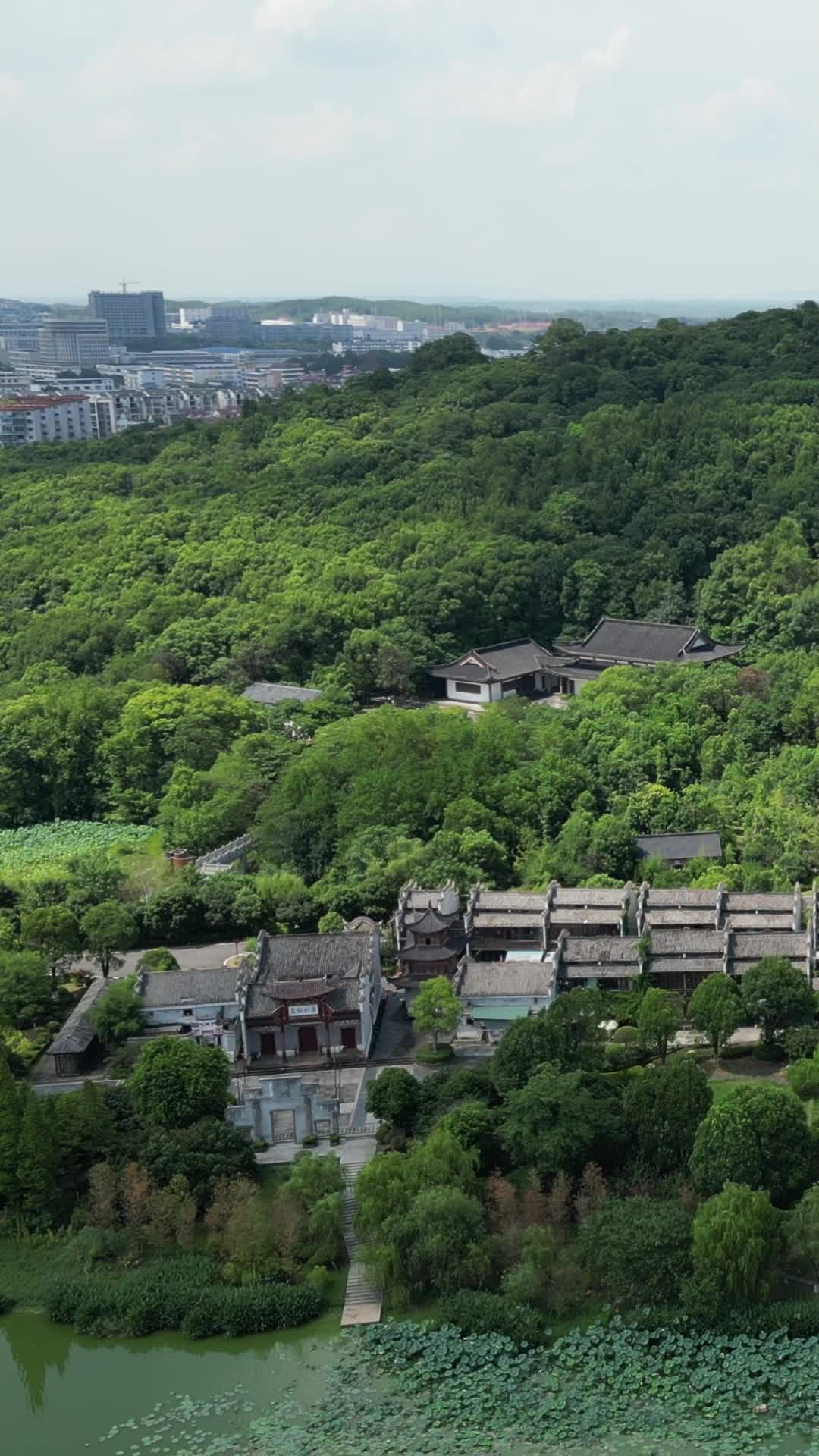 航拍江西吉安庐陵生态文化园4A景区视频的预览图