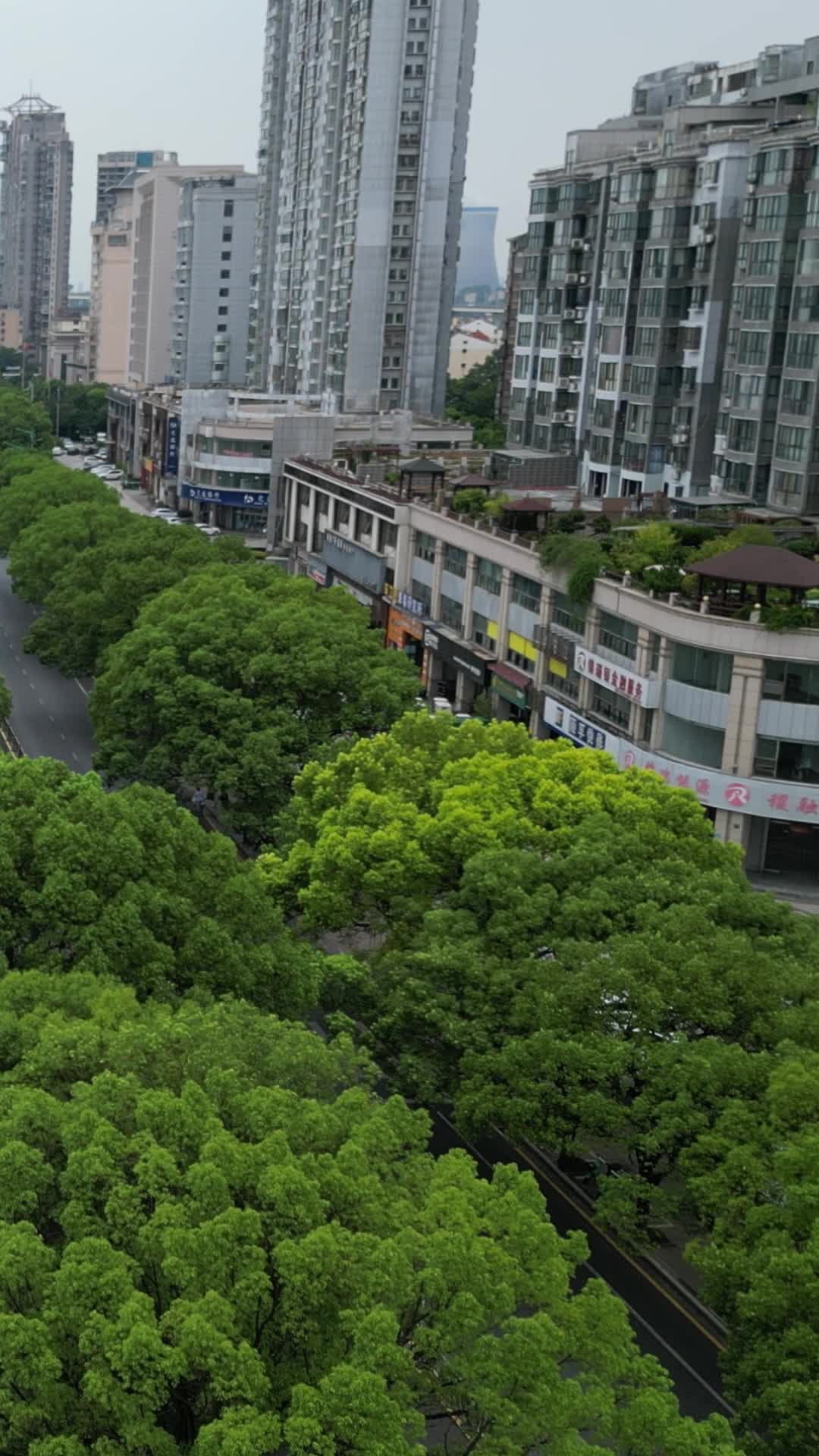 航拍江西九江江滨公园视频的预览图