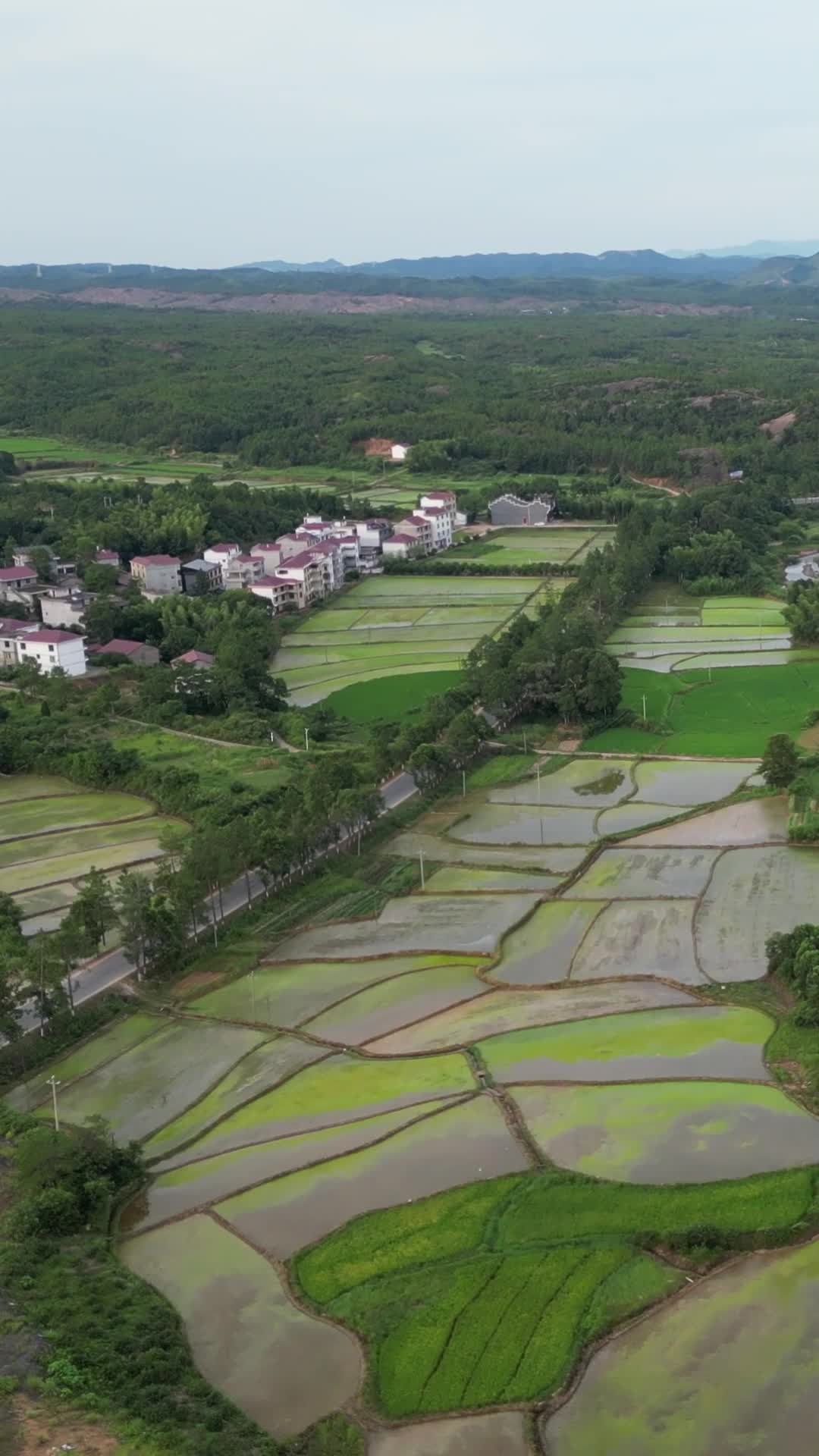 航拍农耕种植农田视频的预览图