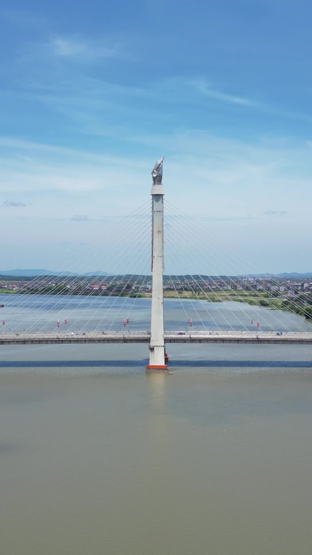 航拍江西抚州赣东大桥视频的预览图