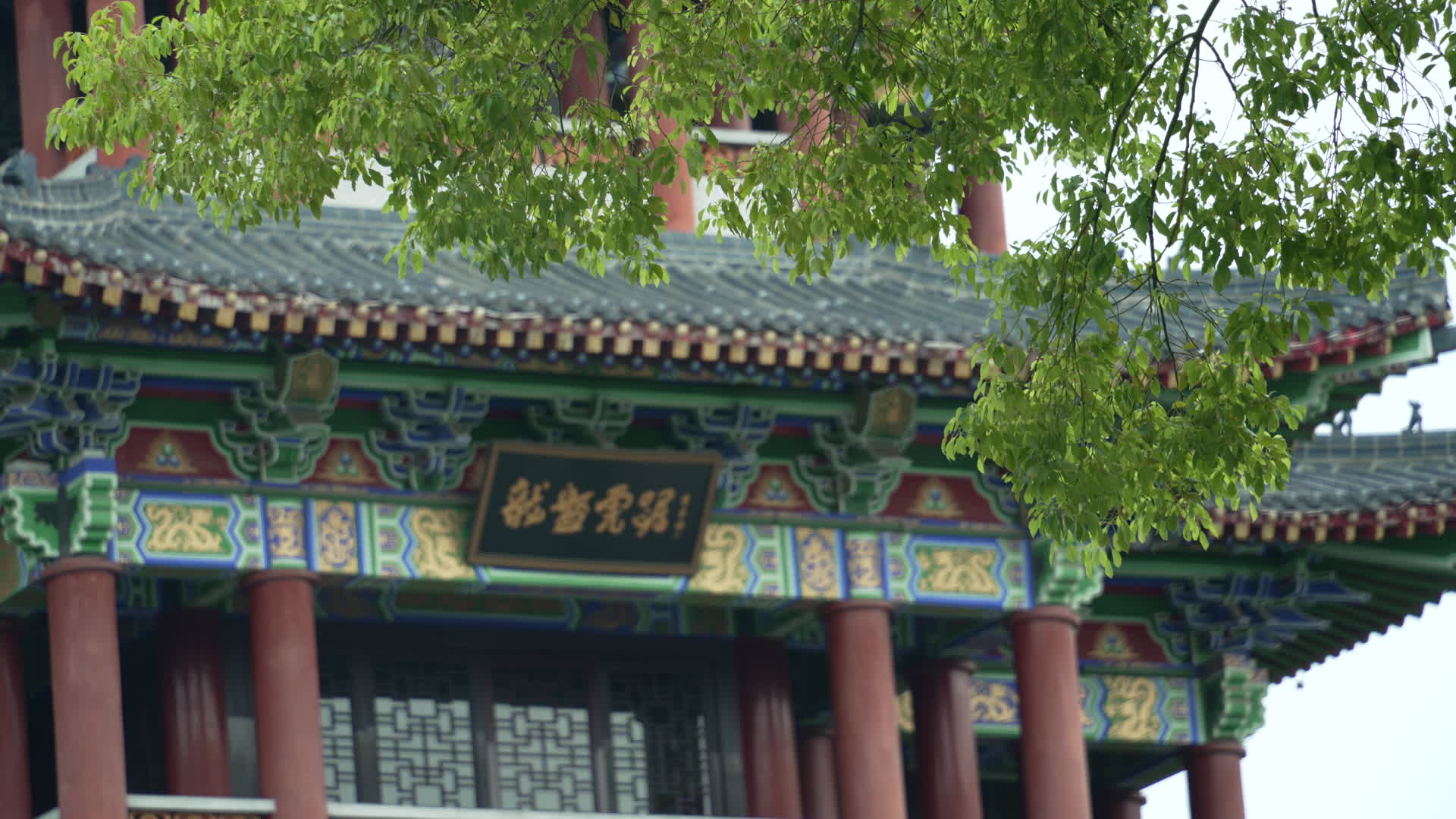 武汉地标汉口龙王庙风景视频的预览图