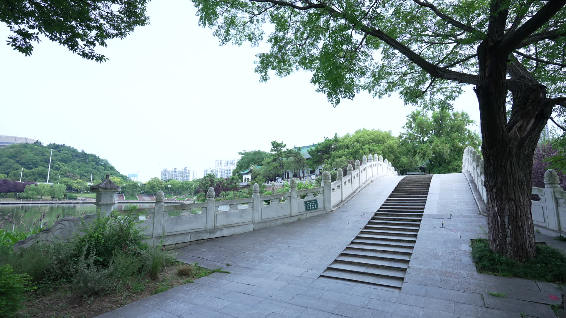 武汉汉阳月湖风景区风景视频的预览图