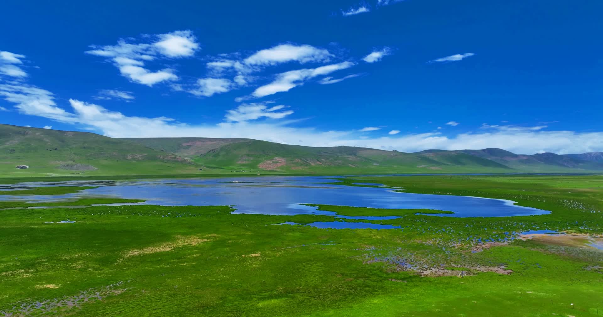航拍青海隆宝湖隆宝泽湿地夏季视频的预览图
