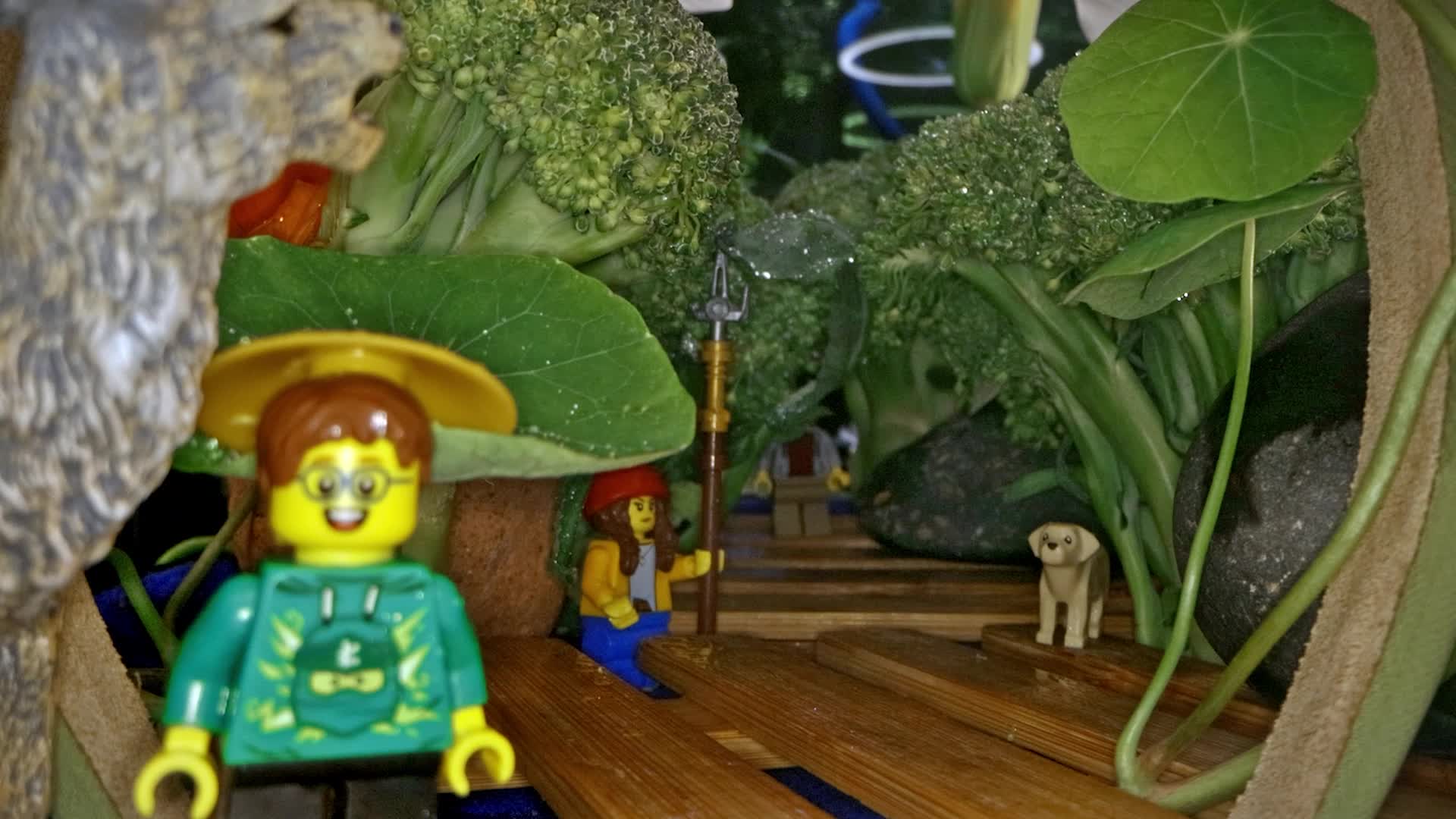 实拍微距拍摄蔬菜玩偶视频的预览图