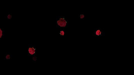 玫瑰花朵飘落粒子视频的预览图