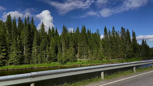 汽车森林公路行驶美丽景色视频的预览图