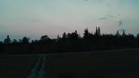 傍晚夕阳落日森林平原航拍视频的预览图