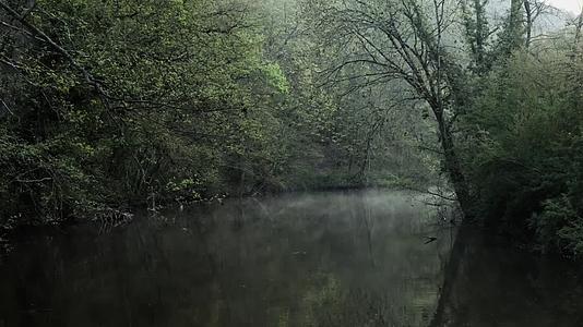 清晨森林河流雾气蒙蒙视频的预览图
