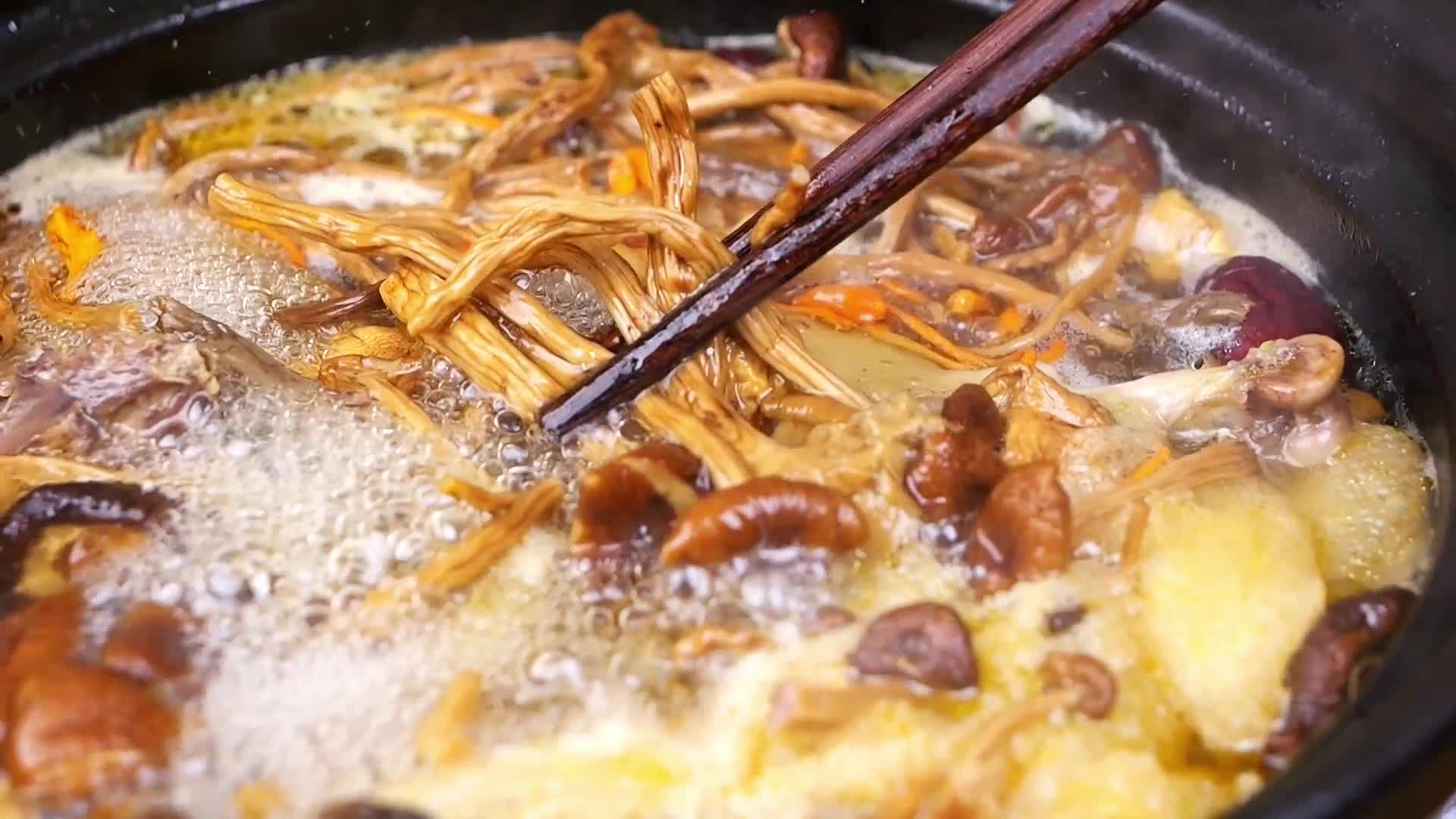 茶树菇野生茶树菇视频的预览图