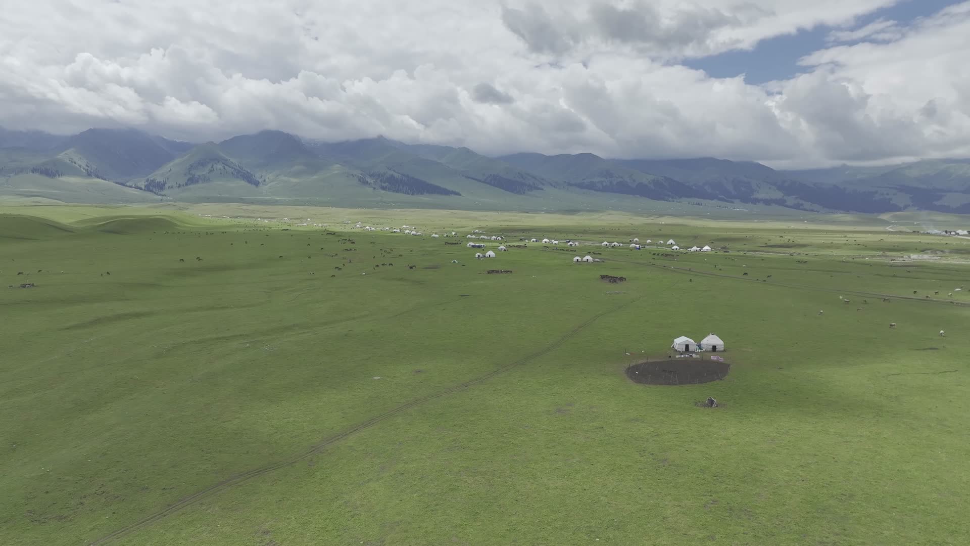 新疆那拉提空中草原航拍4k60帧视频的预览图
