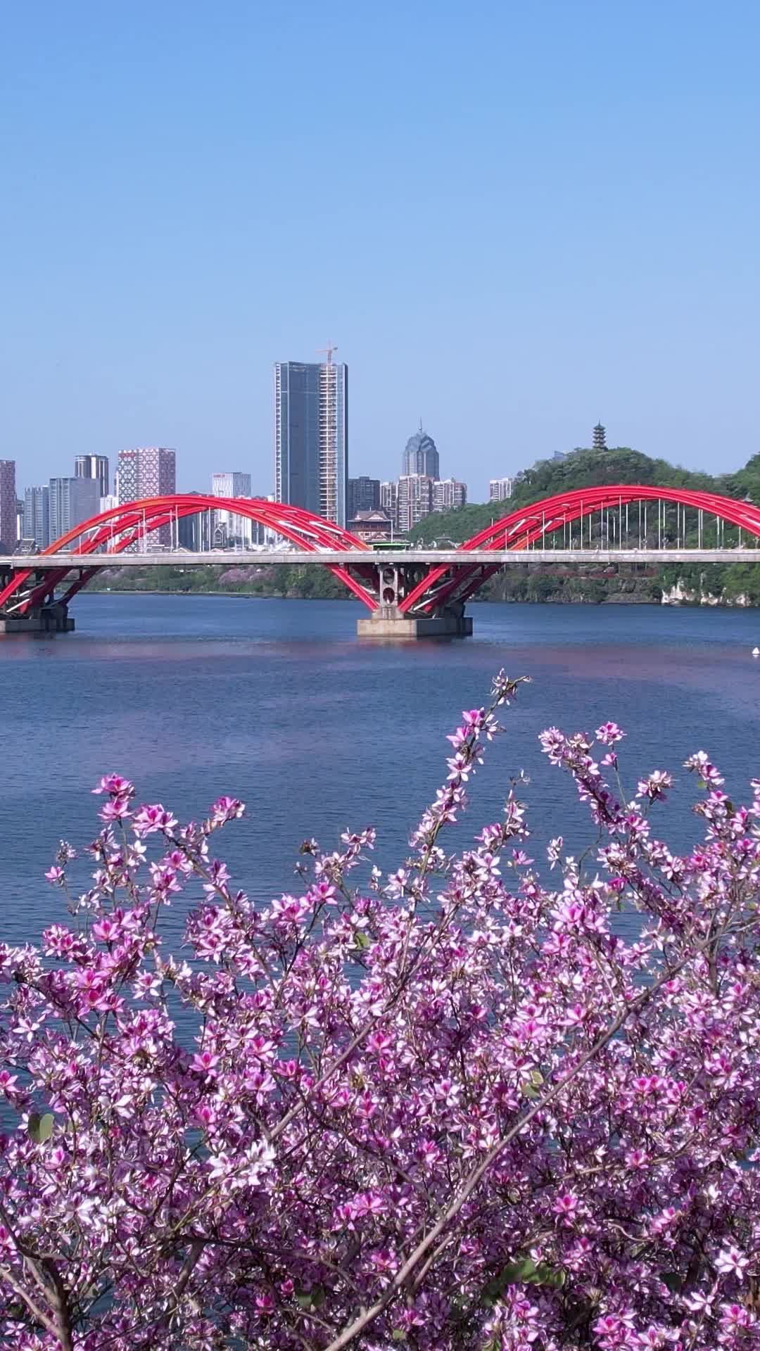 高清竖屏航拍柳州文惠桥视频的预览图