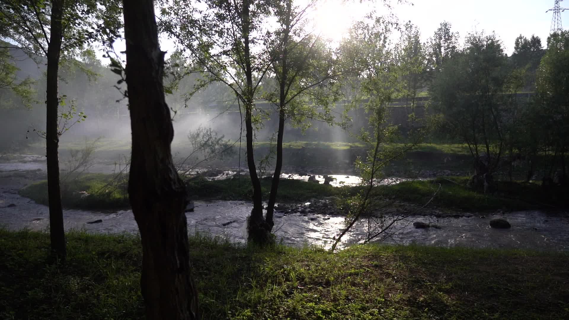 阳光透过森林薄雾视频的预览图