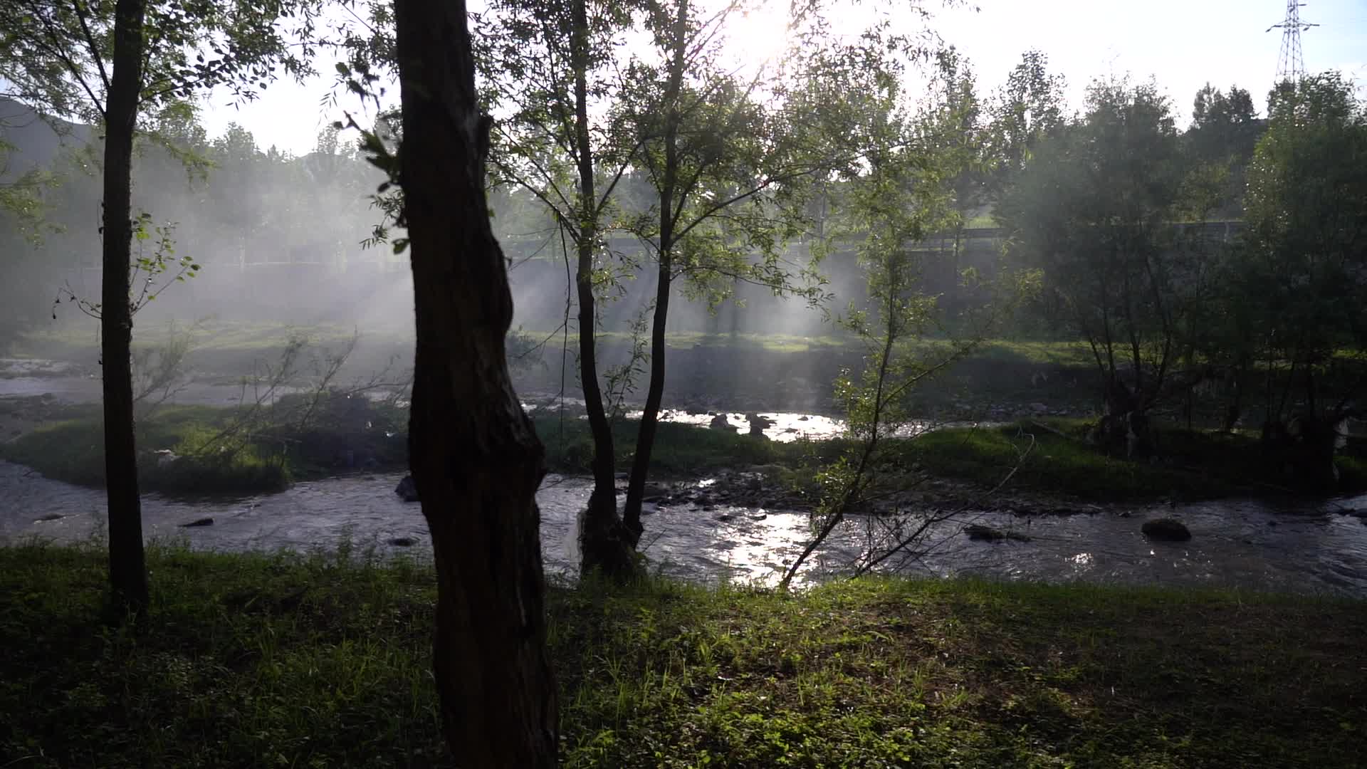 阳光透过森林薄雾视频的预览图