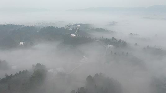 茶山云海日出云雾缭绕大山山川乡村视频的预览图