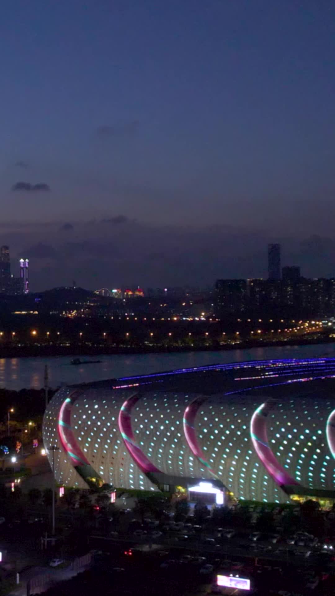 高清竖屏航拍南宁青山大桥夜景视频的预览图