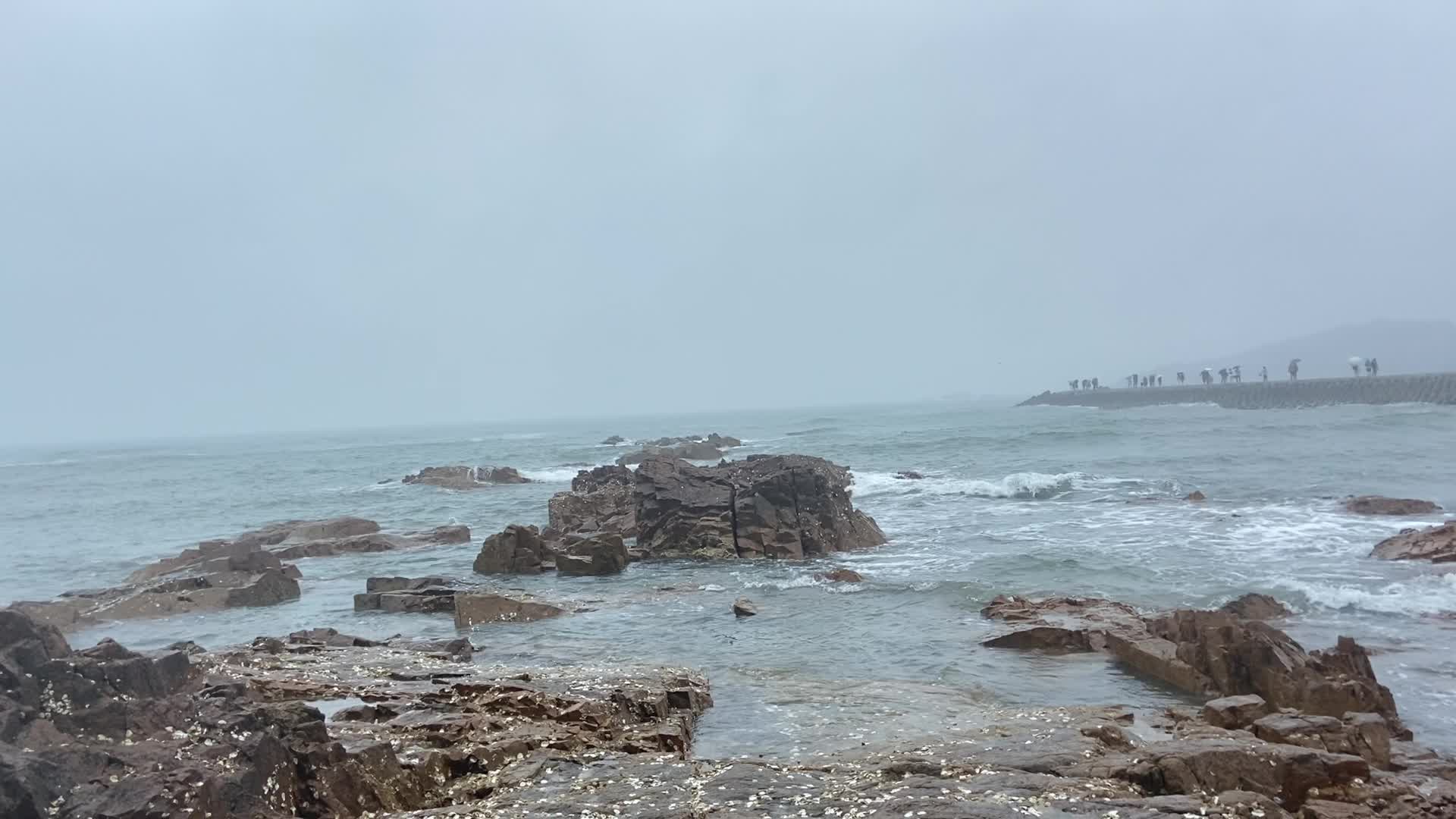 青岛的大海视频的预览图