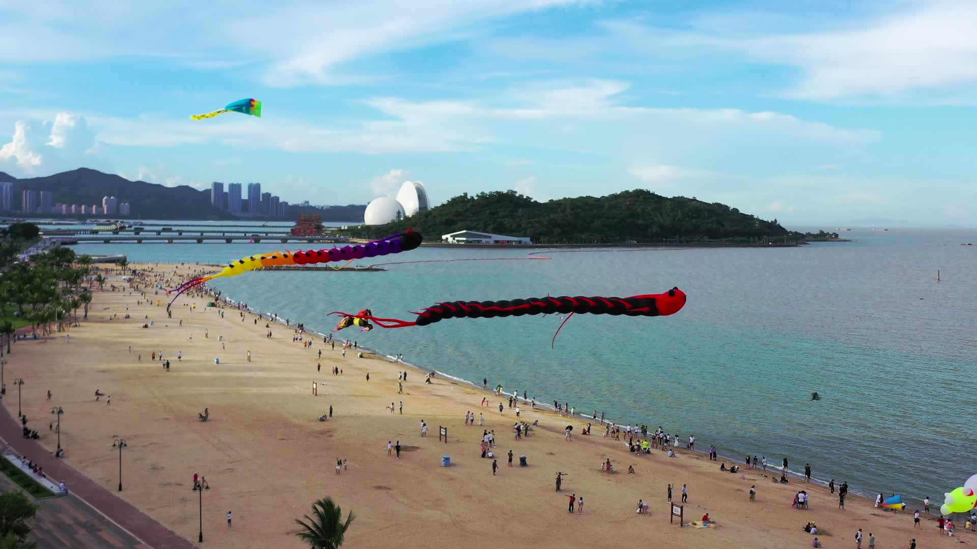 空中舞动的风筝视频的预览图