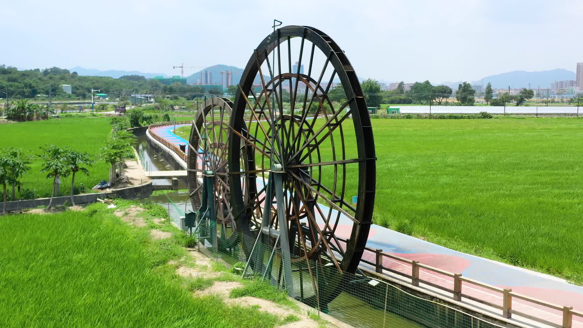 中山市南朗夏日左步稻田水车视频的预览图
