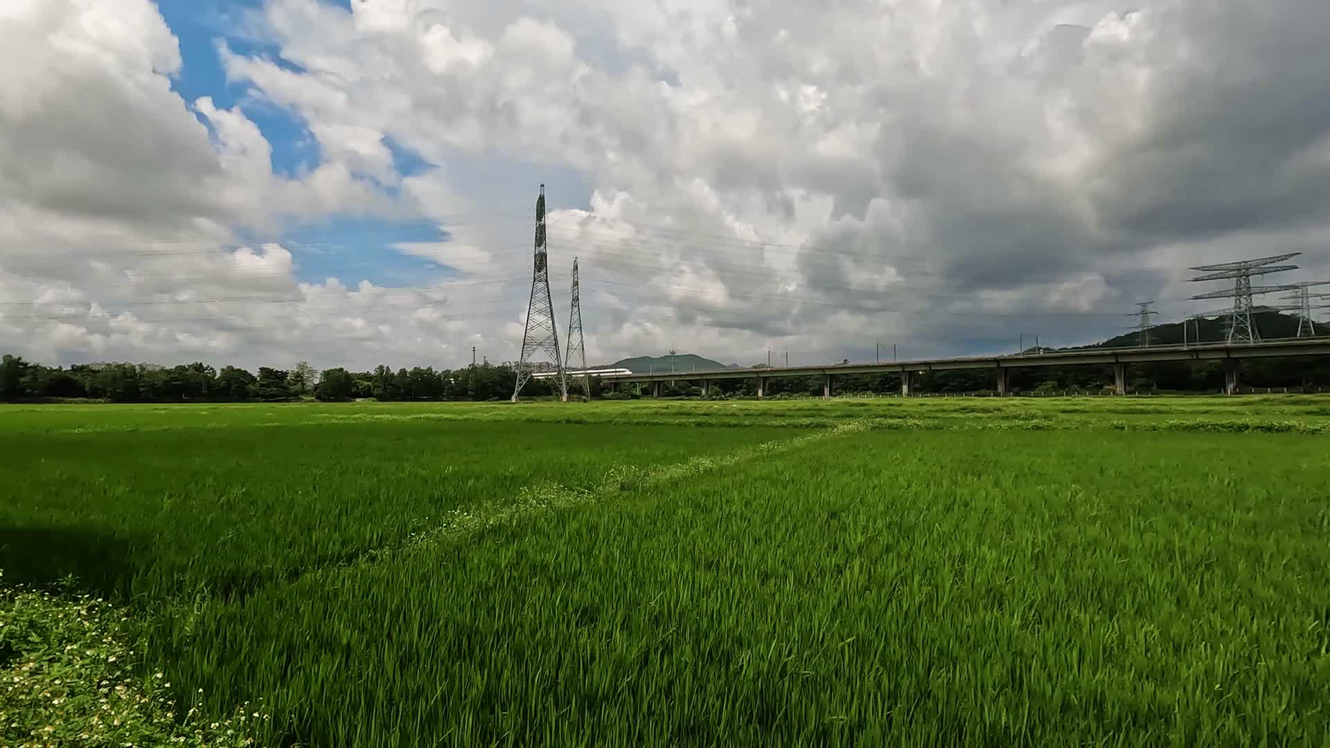 稻田高铁行驶视频的预览图