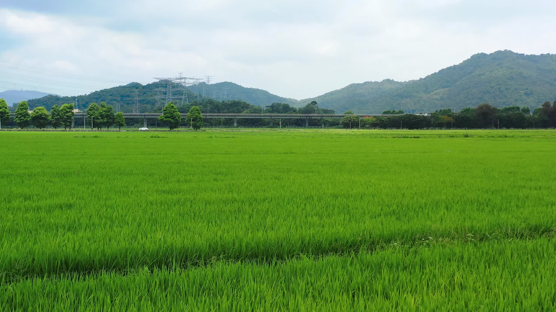 稻田边上的休闲区21视频的预览图