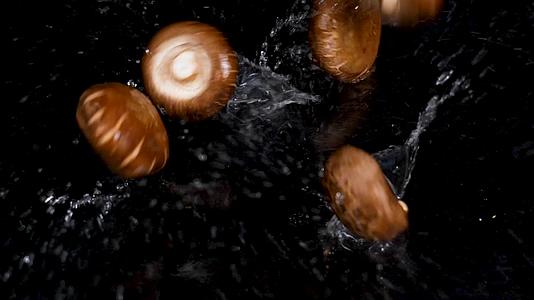 香菇食用菌香菇飞起水花四溅视频的预览图