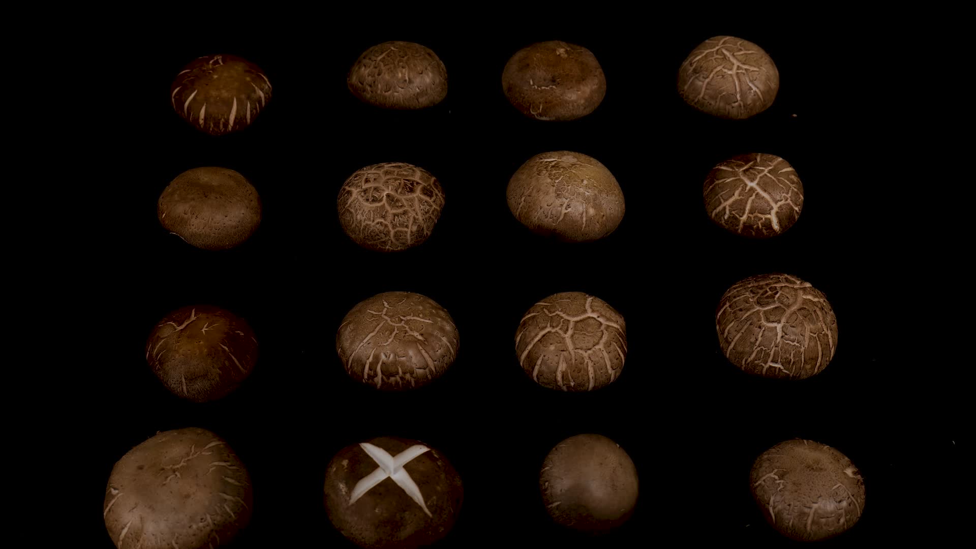 香菇食用菌菇香菇特写香菇实拍视频的预览图
