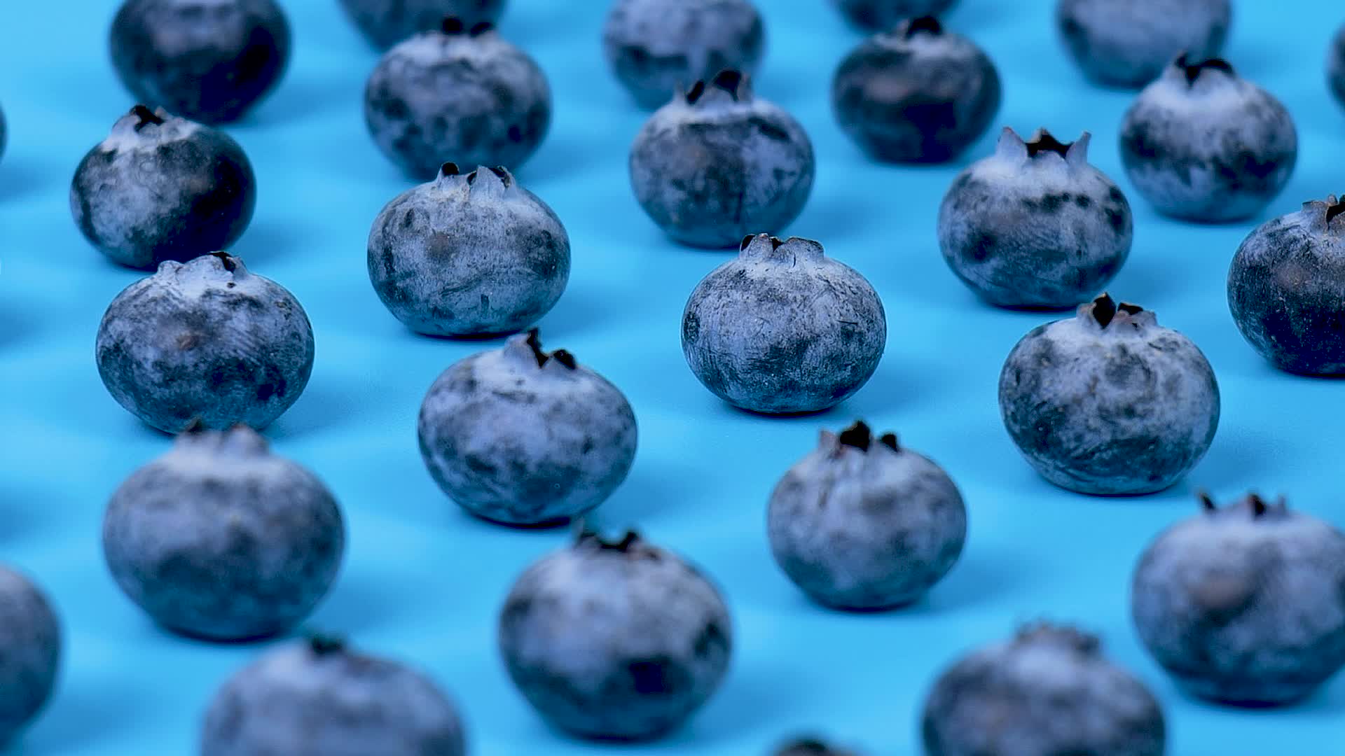 水果蓝莓实拍特写视频的预览图