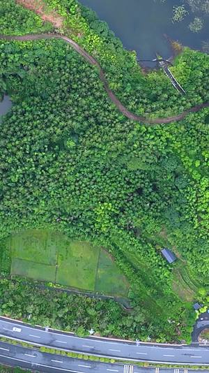 高清竖屏航拍湖南郴州绿水青山视频的预览图