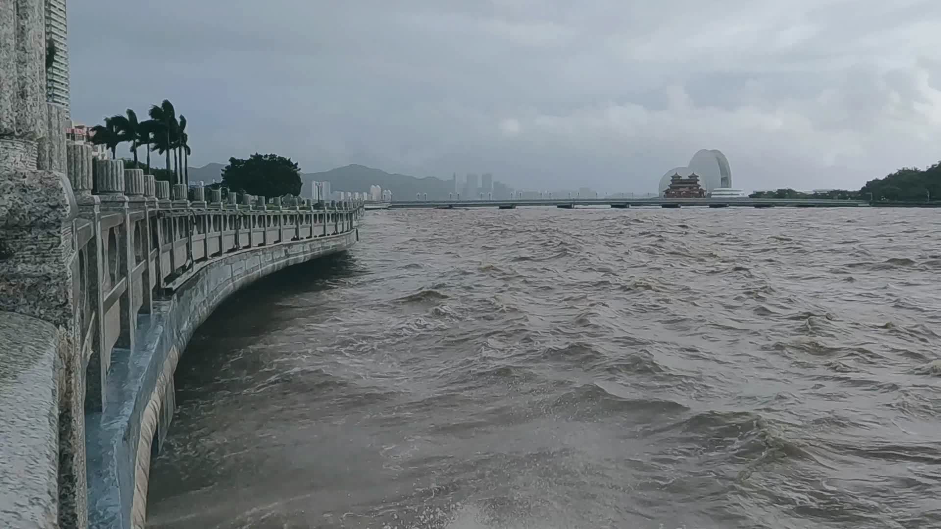 台风天的海边视频的预览图