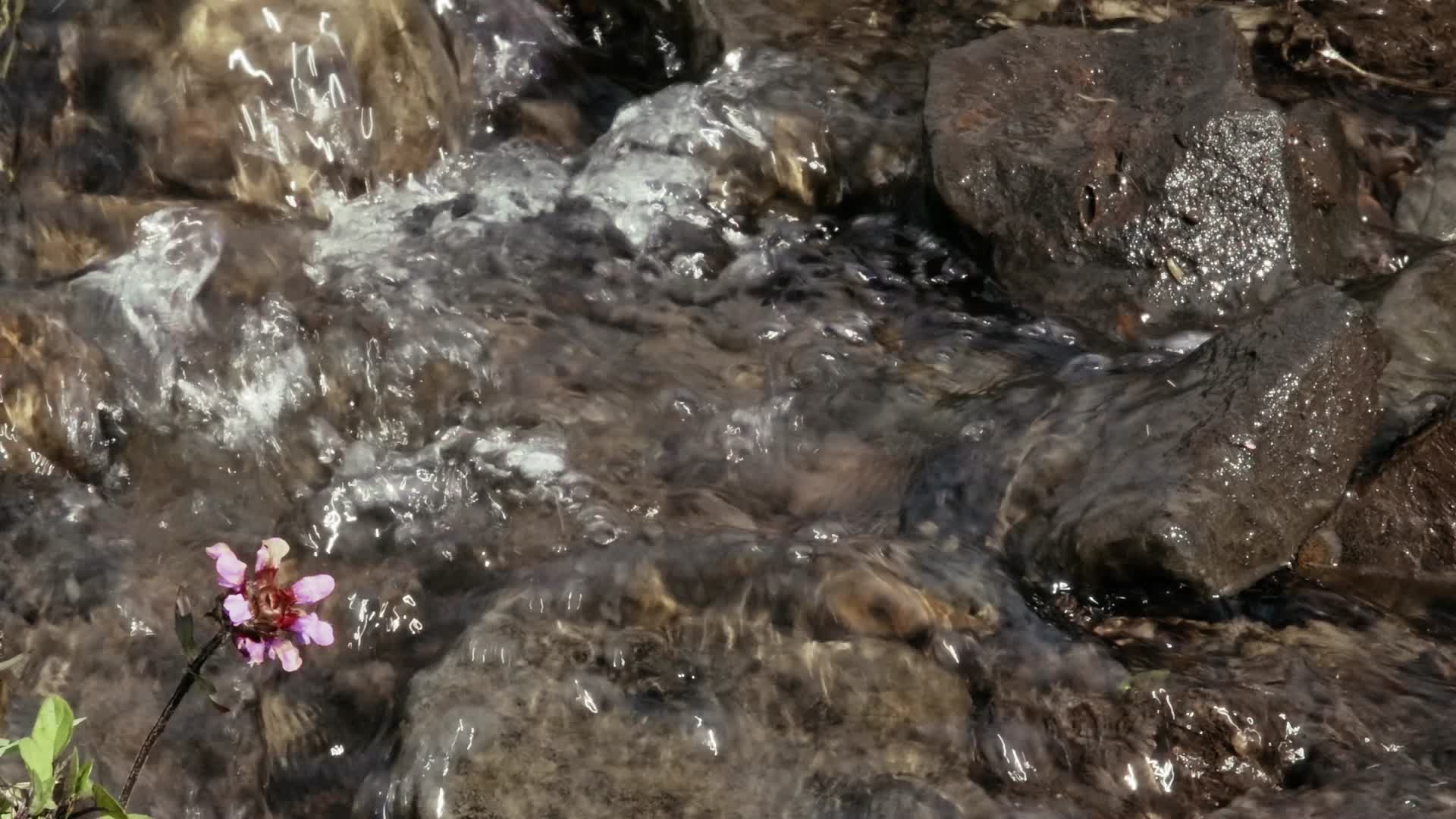4k实拍升格山间小河溪水视频的预览图