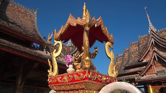 西双版纳寺庙大象实拍视频的预览图