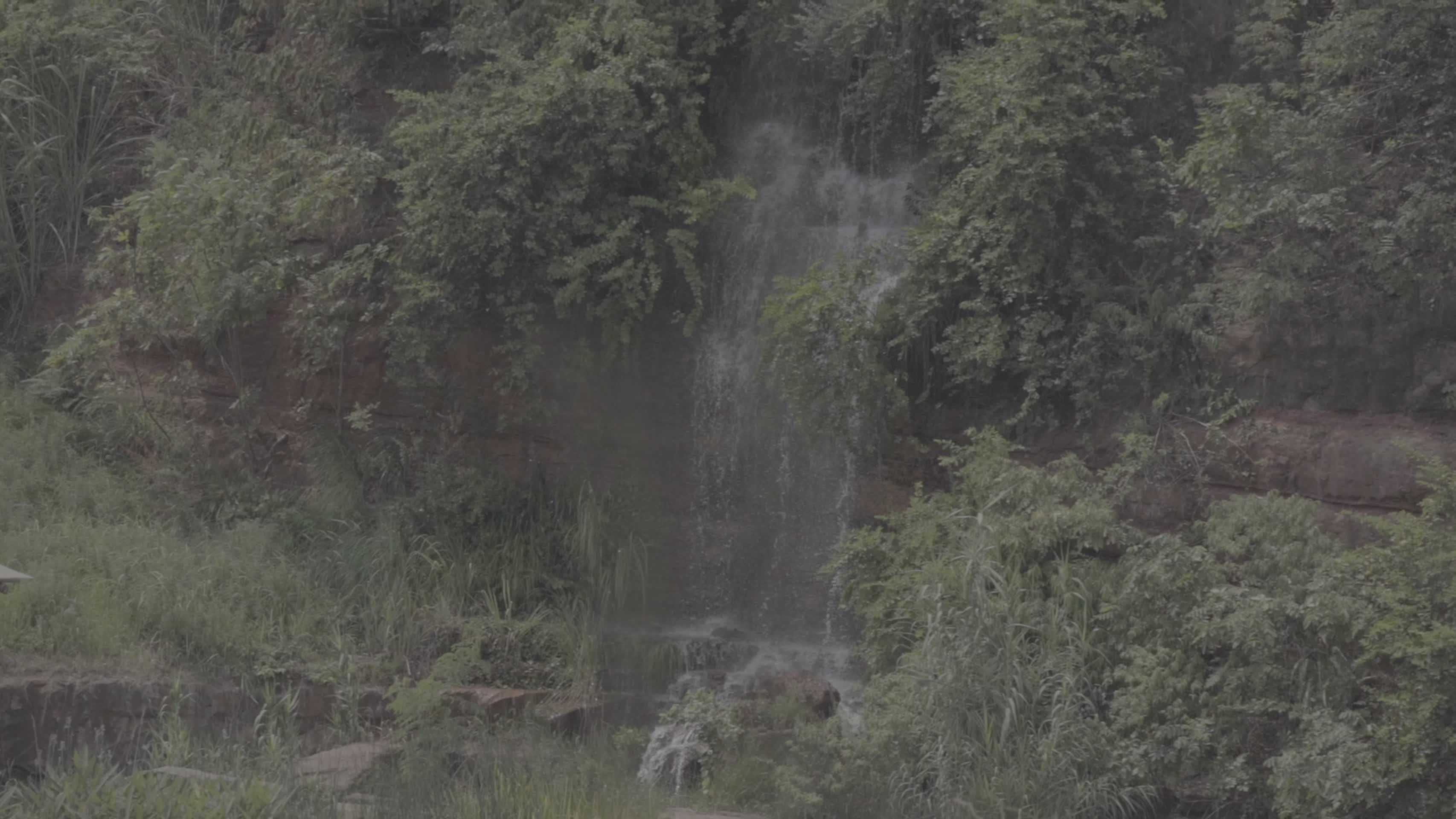 山间瀑布水流植物慢动作视频的预览图