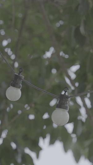 夏季树林露营地装饰灯视频的预览图