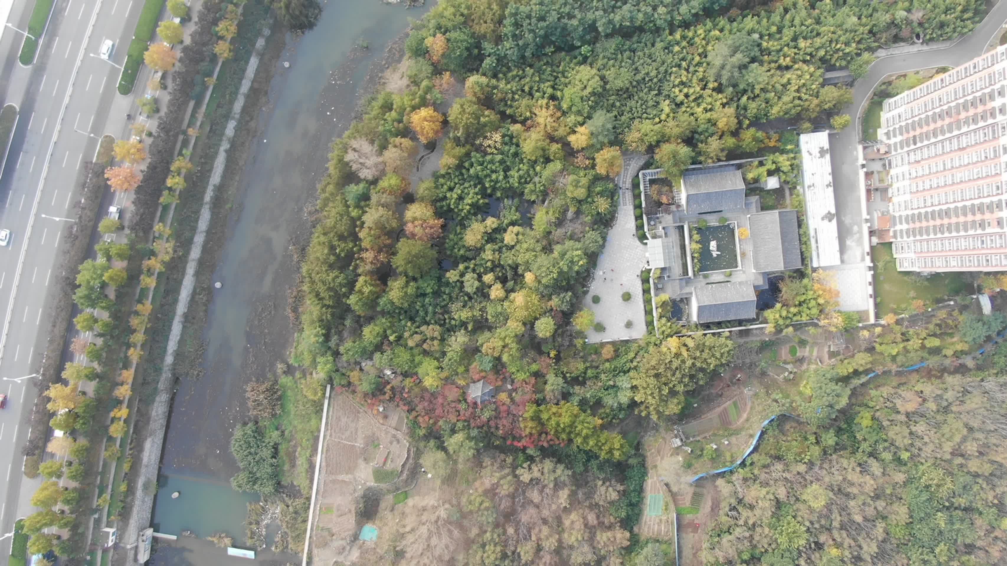 航拍山东城市建筑与四旁绿化视频的预览图
