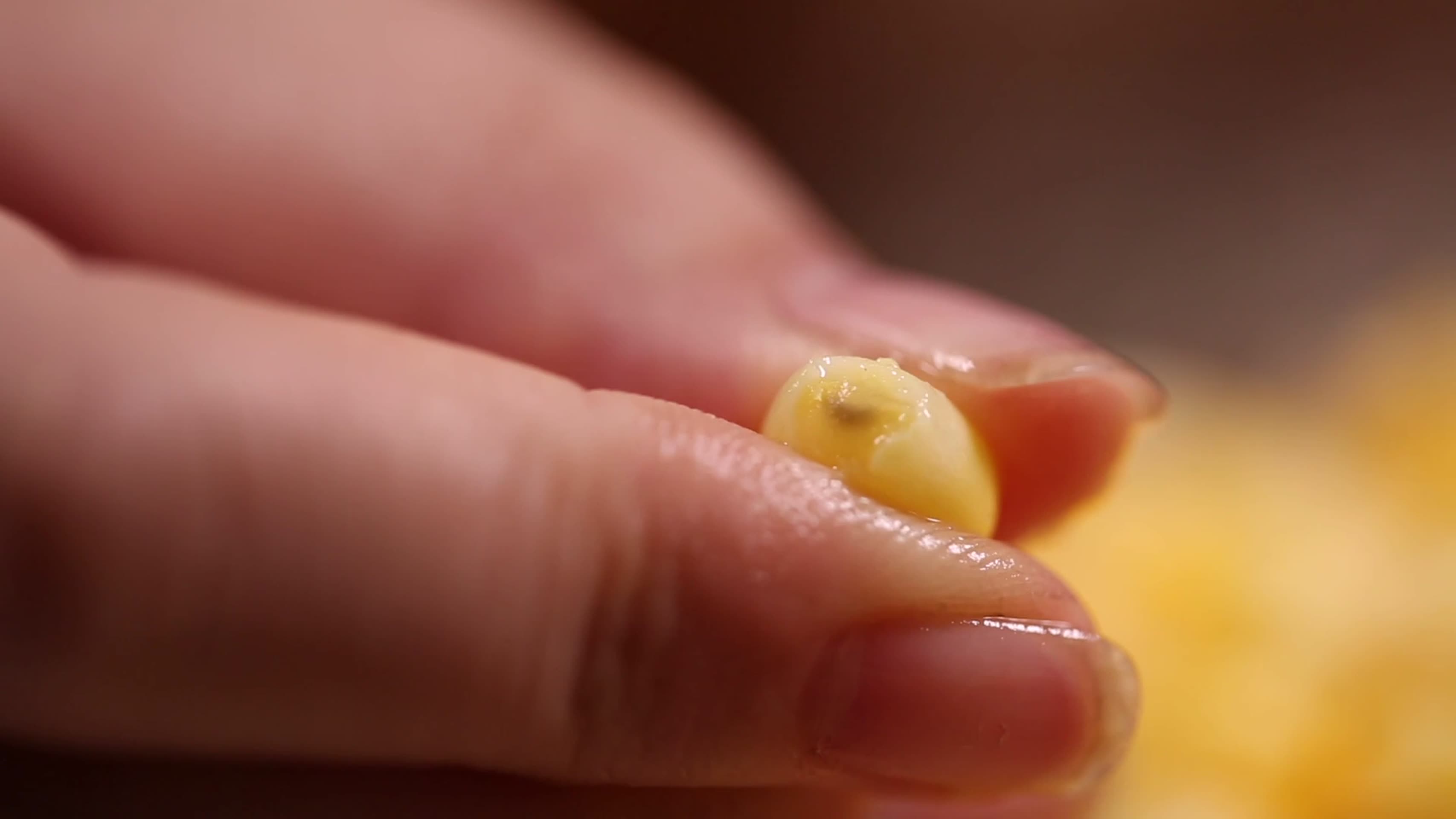 镜头合集剥下的玉米粒玉米胚芽视频的预览图