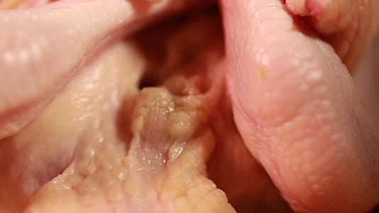 镜头合集解剖肉鸡身上不能吃的位置视频的预览图