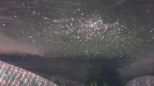 镜头合集深水水流水波纹泡沫海底视频的预览图