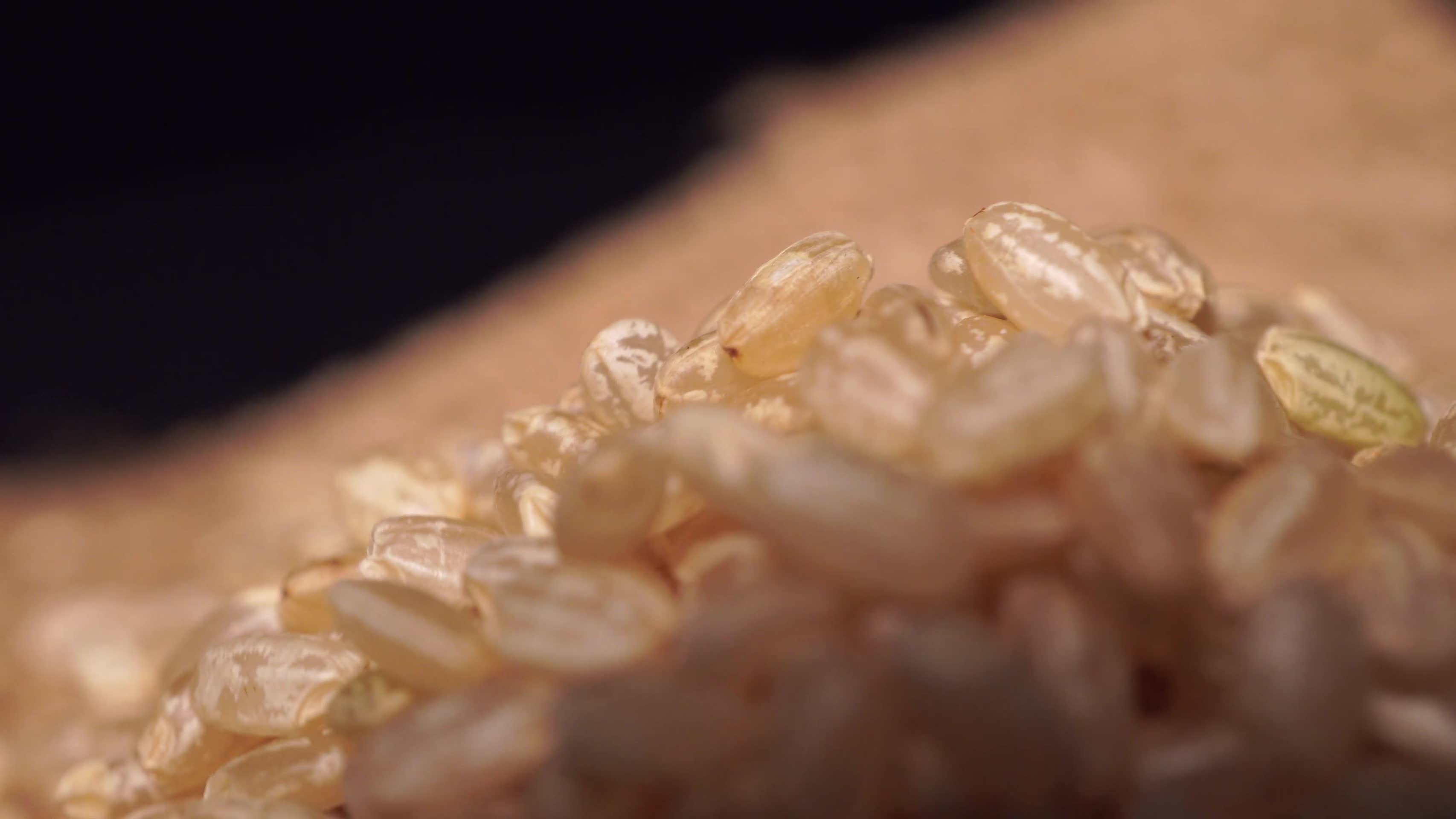 粗粮糙米健康纤维视频的预览图