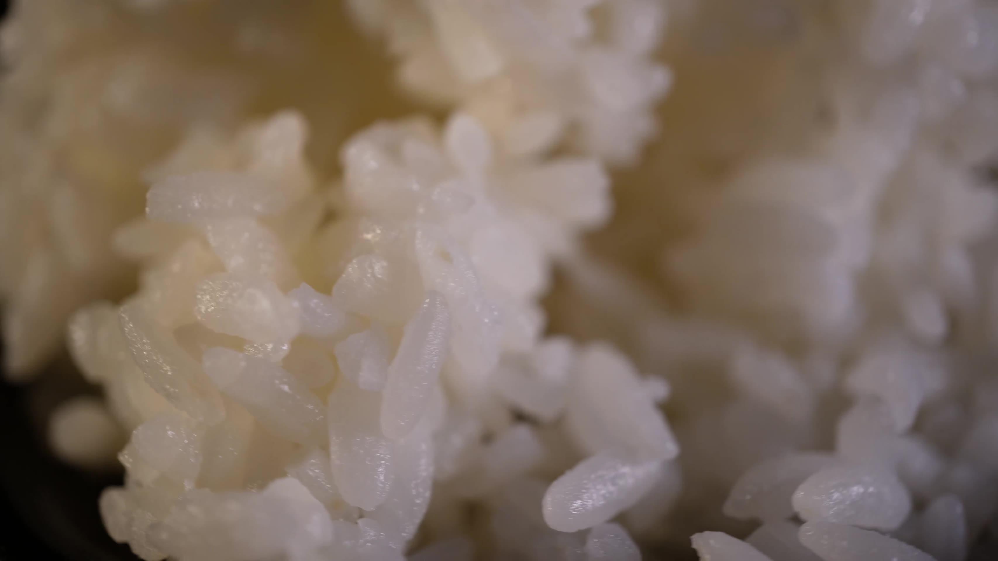 主食水稻大米饭视频的预览图