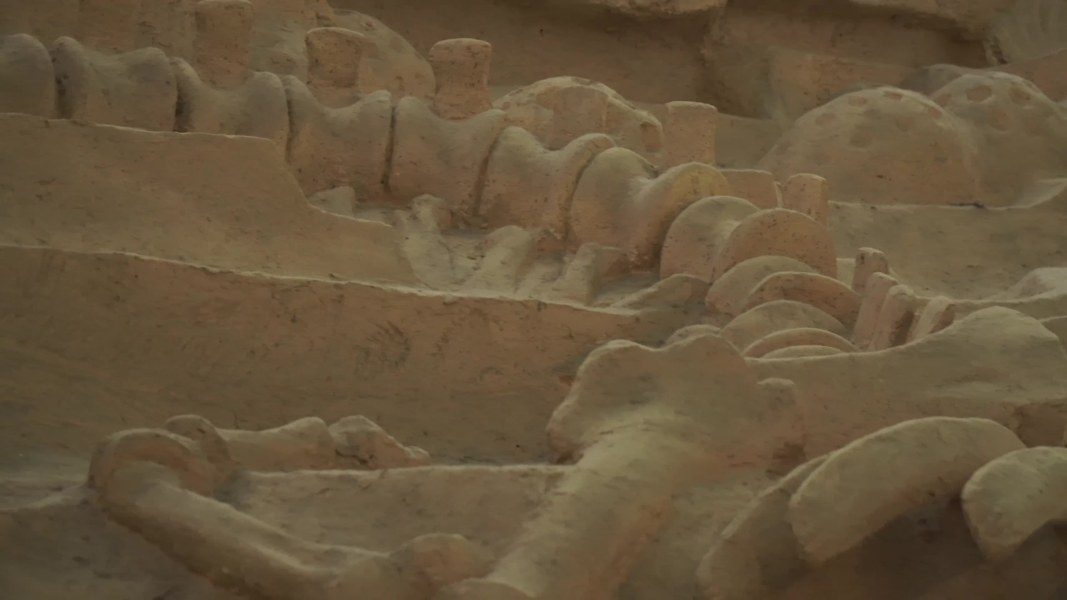 原始雕刻装饰化石恐龙考古视频的预览图
