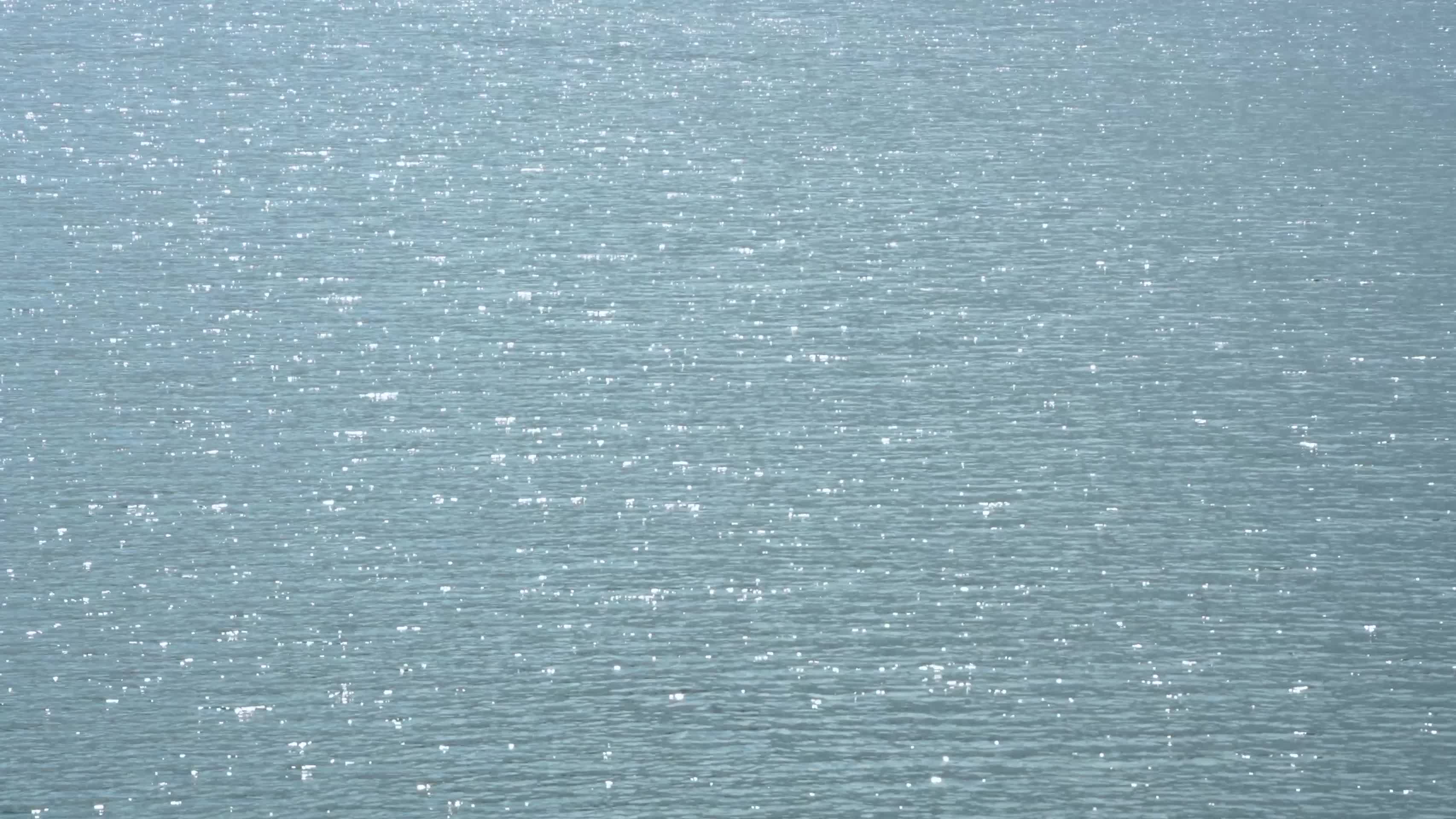 波光粼粼的湖面视频的预览图