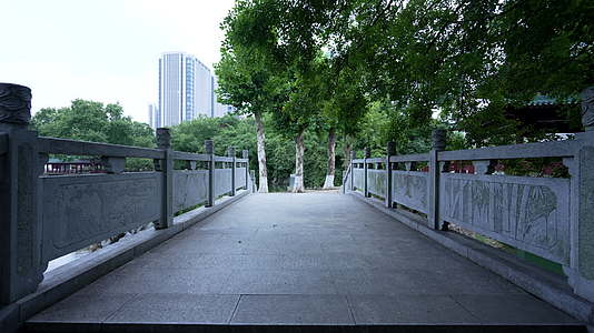 武汉历史名园中山公园风景视频的预览图