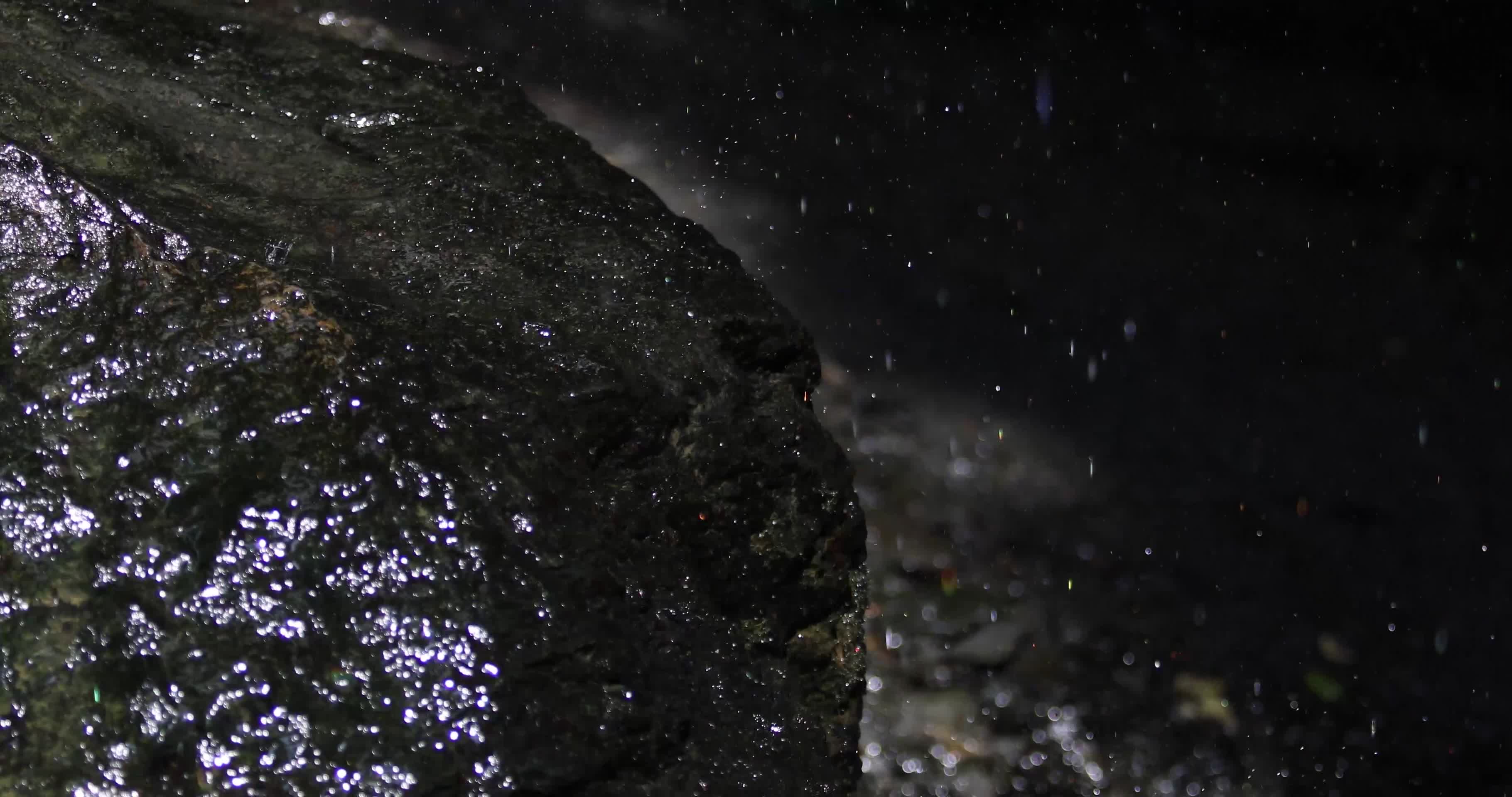 4K空镜山林顽强山石苔藓滴水光影视频的预览图