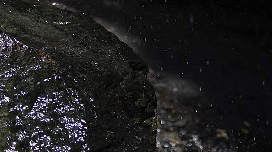 4K空镜山林顽强山石苔藓滴水光影视频的预览图