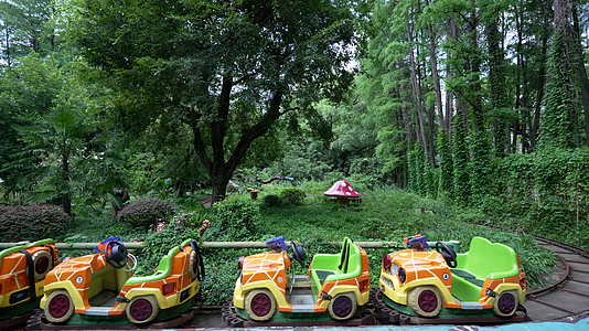 武汉历史名园中山公园游乐场风景视频的预览图