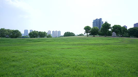 武汉市汉阳区墨水湖公园风景视频的预览图