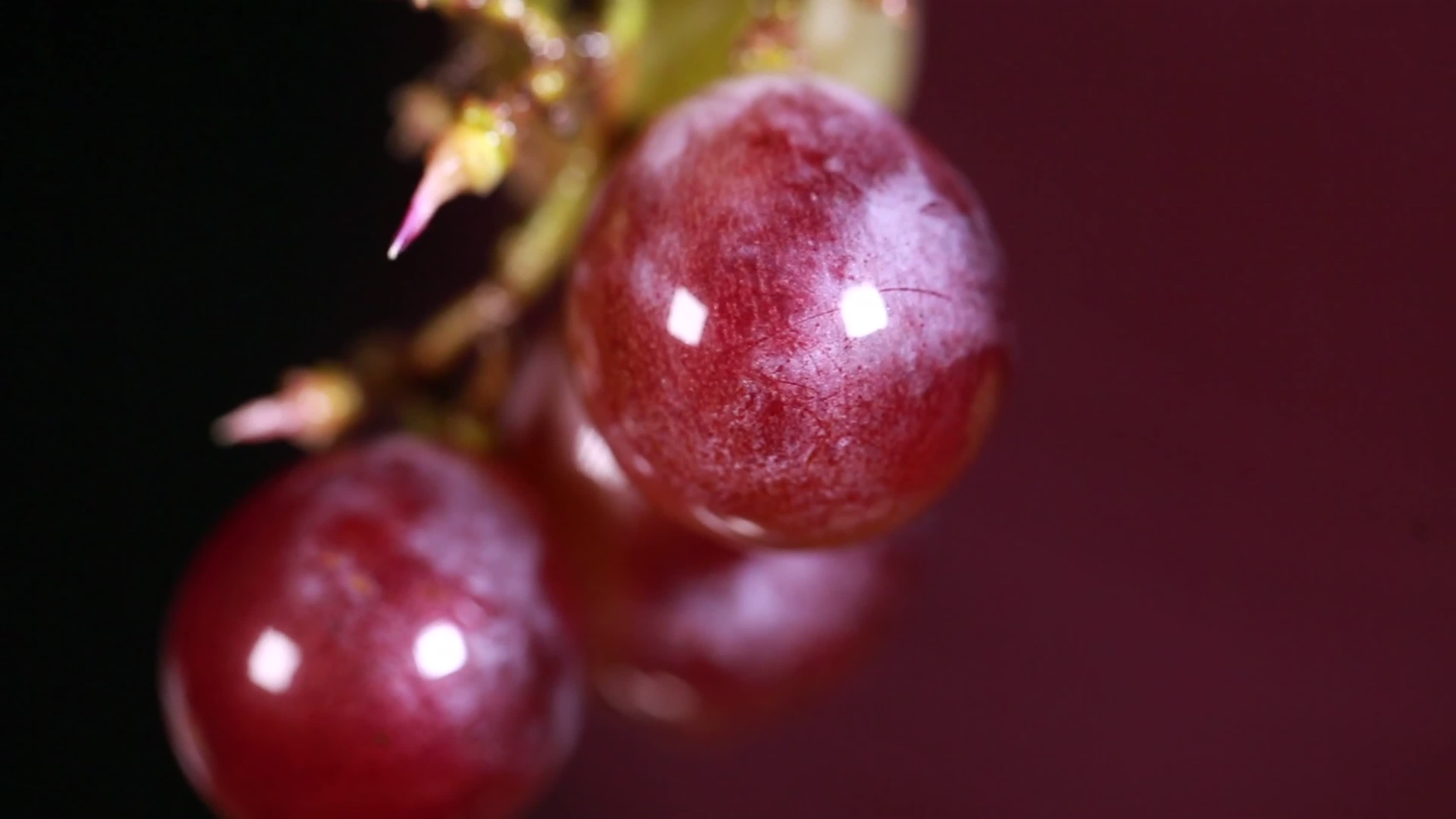 镜头合集制作果盘用的葡萄珠葡萄粒视频的预览图