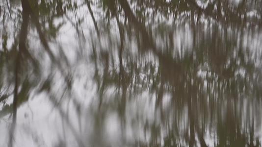 镜头合集下雨积水水中倒影视频的预览图